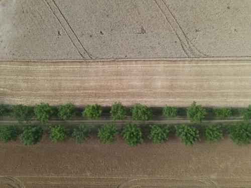 DJI_3622.JPG